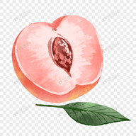 WWW,se356·COM网站APPAPP应用